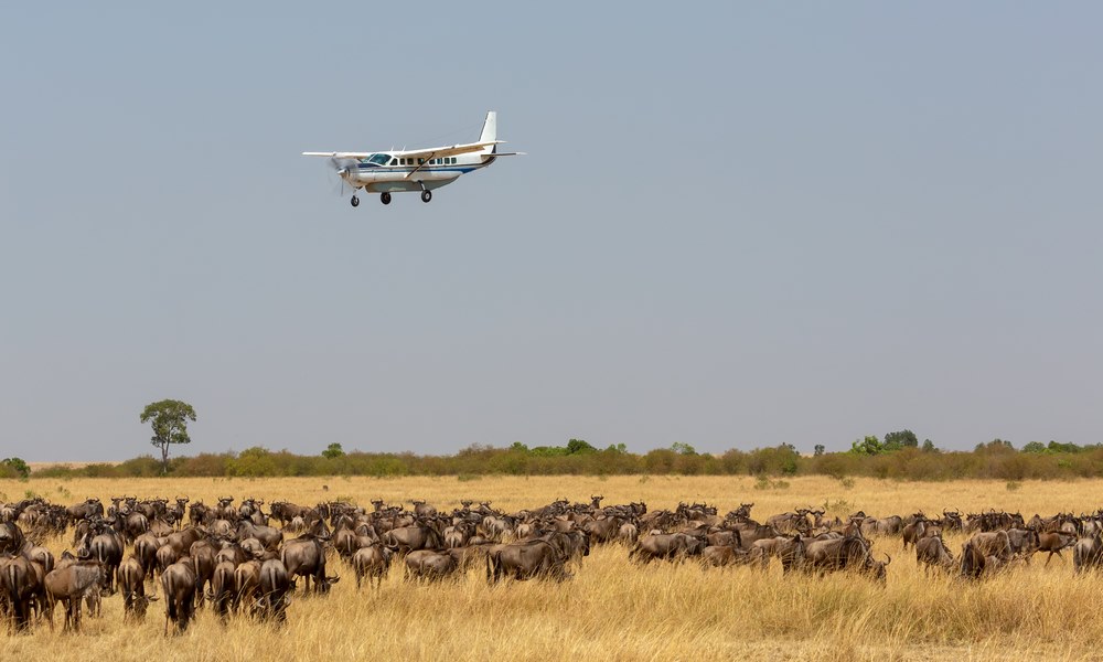 Safari Charters