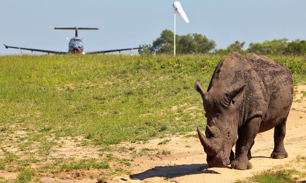 Charter Flights Kruger